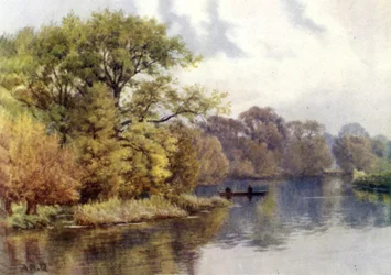 Mapledurham Bossen
